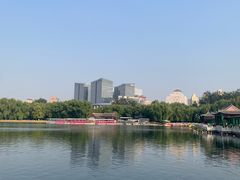 -莲花池公园