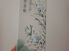 -首开·龙湖成都西宸天街