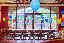 -派对猴生日派对策划