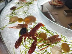 -壳里西餐厅Coquille Seafood Bistro(蒙自路店)