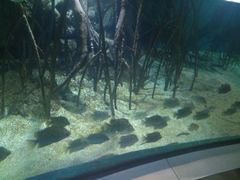 -福州罗源湾海洋世界旅游区