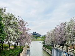 -海珠湖公园