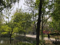 -西安浐灞国家湿地公园