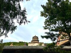 -颐和园