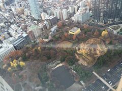 -东京都厅舍