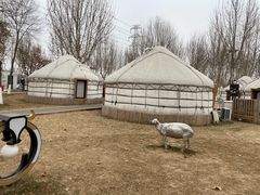 -九十九顶毡房(阜石路店)