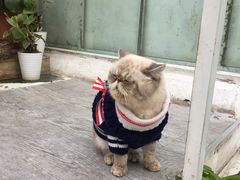 -小时光咖啡馆(北锣鼓巷店)