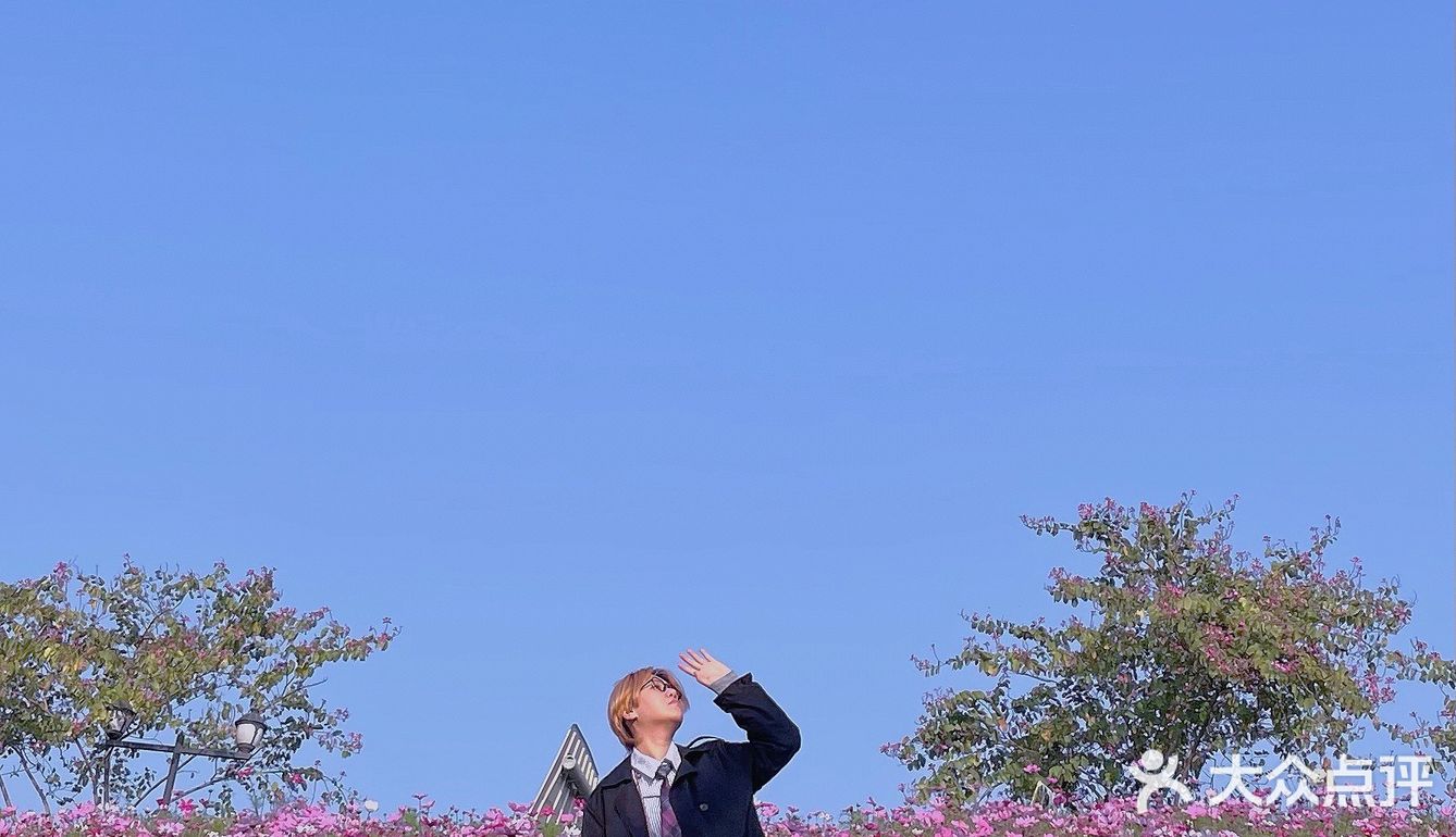 福州花海公园🍂不止郁金香还有‼️