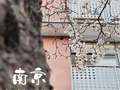-南京晨光1865创意产业园
