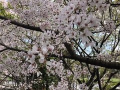 -上海南浦大桥长途旅游客运站