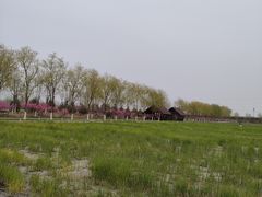 -永定河休闲森林公园