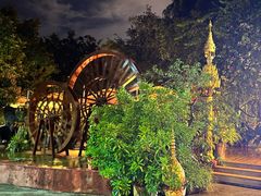 -品德宏·孔雀宴的发源地(金塔园店)