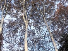 -南京特殊教育师范学院(燕子矶校区)