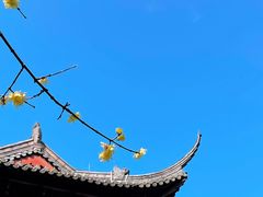 -钱王祠