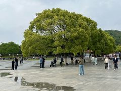-汤山公园