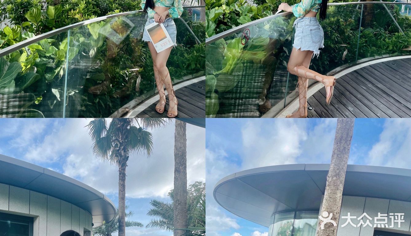 朋友圈被问爆的酒店📷竟然在深圳