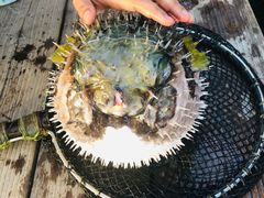 -蓝湾碧波·老字号·疍家非遗海上餐厅