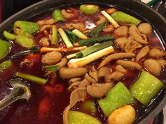 湘为肥肠火锅-湘肠香火锅店(团结湖店)