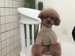 -芭比堂爱心动物医院·心脏科·犬猫内科(越城可乐分院)