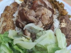 -瑞霖·隆江猪脚饭