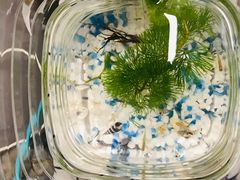 -北京国家会计学院