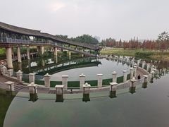 -眉山湿地公园(东坡区)