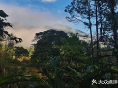 -福清灵石山国家森林公园