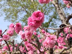 -元大都城垣遗址公园