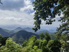 -莫干山郡安里度假酒店-桃尖中餐厅