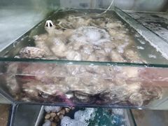 -雅逸居海鲜小厨