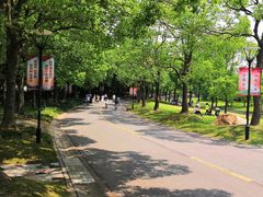 -东方绿舟景区