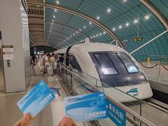 -龙阳路磁悬浮列车总站-停车场