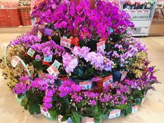 -盒马鲜生(皇庭广场店)