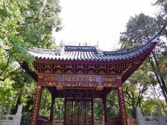 -汇龙潭