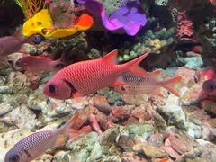 -太平洋海底世界