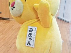 -日本大使馆-新闻文化中心