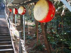 -浏阳石牛寨风景区