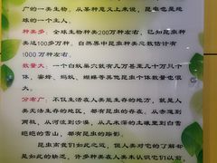 -上海昆虫博物馆