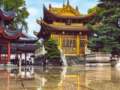 -上海东林寺(金山区)