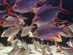 -太平洋海底世界