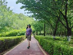 -西安汉城湖景区