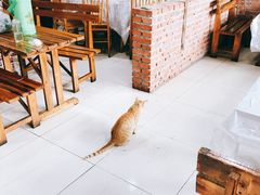 -李记烧烤(贡嘎大道店)
