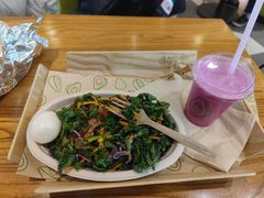 -油梨树 AVOCADO TREE(亮马桥店)