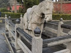 -洛阳白马寺