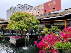 -猪肉婆私房菜(容桂总店)