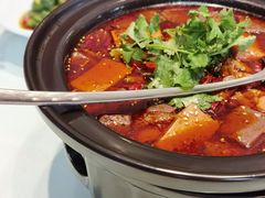 全家福毛血旺-马旺子酒楼