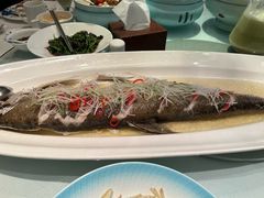 -同庆楼(大钟寺店)