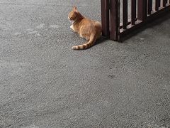 -上海方塔园