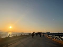 -演武大桥观景平台