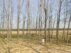 -汉长安城未央宫国家考古遗址公园